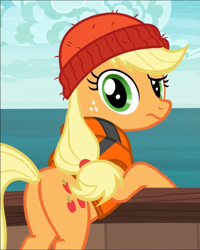 Size: 753x939 | Tagged: safe, screencap, character:applejack, species:earth pony, species:pony, episode:p.p.o.v. (pony point of view), g4, my little pony: friendship is magic, beanie, butt, clothing, cropped, female, freckles, hat, lifejacket, looking at you, looking back, looking back at you, mare, plot, solo
