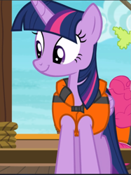 Size: 705x945 | Tagged: safe, screencap, character:twilight sparkle, character:twilight sparkle (alicorn), species:alicorn, species:pony, episode:p.p.o.v. (pony point of view), g4, my little pony: friendship is magic, cropped, lifejacket, smiling, solo
