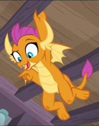 Size: 745x942 | Tagged: safe, screencap, character:smolder, species:dragon, episode:molt down, g4, my little pony: friendship is magic, amused, athletic, claws, closet, cropped, dragoness, fangs, female, hanging, horns, impressed, looking down, open mouth, pointing, raised eyebrow, smiling, smirk, solo, spread wings, teenaged dragon, teenager, toes, wings