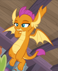 Size: 765x938 | Tagged: safe, screencap, character:smolder, character:spike, species:dragon, episode:molt down, g4, my little pony: friendship is magic, amused, arm behind head, claws, closet, cropped, dragoness, fangs, female, hanging, horns, lidded eyes, looking down, raised eyebrows, slit eyes, smiling, smirk, smugder, solo focus, spread wings, teenaged dragon, teenager, toes, wings