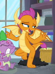 Size: 659x884 | Tagged: safe, screencap, character:smolder, character:spike, species:dragon, episode:molt down, g4, my little pony: friendship is magic, baby, baby dragon, claws, closet, cropped, dragoness, duo, explaining, fangs, female, folded wings, gritted teeth, hand on belly, horns, itchy, lidded eyes, looking sideways, male, molting, open mouth, pain, solo focus, spread wings, standing, standing on one leg, teenaged dragon, teenager, toes, underfoot, wings