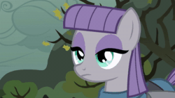 Size: 1280x720 | Tagged: safe, screencap, character:maud pie, species:earth pony, species:pony, episode:maud pie, g4, my little pony: friendship is magic, animated, female, mare, solo, sound, webm