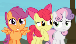 Size: 1599x937 | Tagged: safe, screencap, character:apple bloom, character:scootaloo, character:sweetie belle, species:pegasus, species:pony, episode:surf and/or turf, g4, my little pony: friendship is magic, cropped, cutie mark crusaders, smiling, trio