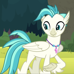 Size: 938x938 | Tagged: safe, screencap, character:terramar, species:classical hippogriff, species:hippogriff, episode:surf and/or turf, g4, my little pony: friendship is magic, :>, birb, cropped, cute, jewelry, looking back, male, necklace, smiling, solo, terrabetes