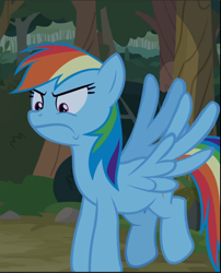 Size: 761x943 | Tagged: safe, screencap, character:rainbow dash, species:pegasus, species:pony, episode:between dark and dawn, g4, my little pony: friendship is magic, angry, cropped, female, flying, mare, solo, spread wings, wings
