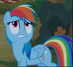 Size: 639x590 | Tagged: safe, screencap, character:rainbow dash, species:pegasus, species:pony, episode:between dark and dawn, g4, my little pony: friendship is magic, cropped, female, folded wings, frown, looking at someone, looking up, mare, multicolored hair, nervous, solo, uncomfortable