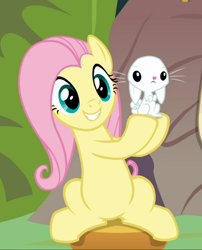 Size: 724x898 | Tagged: safe, screencap, character:angel bunny, character:fluttershy, species:pegasus, species:pony, species:rabbit, episode:she talks to angel, g4, my little pony: friendship is magic, animal, cropped, cute, duo, female, mare, shyabetes, sitting, smiling