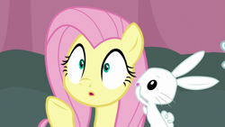 Size: 1920x1080 | Tagged: safe, screencap, character:angel bunny, character:fluttershy, species:pegasus, species:pony, species:rabbit, episode:a trivial pursuit, g4, my little pony: friendship is magic, animal, reaction image