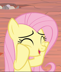Size: 700x825 | Tagged: safe, screencap, character:fluttershy, species:pegasus, species:pony, episode:sweet and smoky, g4, my little pony: friendship is magic, cheek squish, cropped, cute, eyes closed, female, mare, open mouth, shyabetes, smiling, solo, squishy cheeks