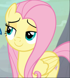 Size: 843x940 | Tagged: safe, screencap, character:fluttershy, species:pegasus, species:pony, episode:sweet and smoky, g4, my little pony: friendship is magic, cropped, cute, female, lidded eyes, mare, shyabetes, smiling, smug, smugshy, solo