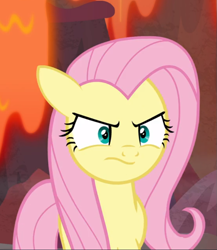 Size: 717x825 | Tagged: safe, screencap, character:fluttershy, species:pegasus, species:pony, episode:sweet and smoky, g4, my little pony: friendship is magic, angry, cropped, cute, female, floppy ears, fluttershy is not amused, madorable, mare, solo, unamused