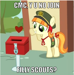 Size: 500x504 | Tagged: safe, screencap, character:tag-a-long, character:thin mint, episode:just for sidekicks, g4, my little pony: friendship is magic, filly guides, filly scouts, grin, hilarious in hindsight, image macro, implied cmc, implied cutie mark crusaders, smiling, solo, tag-a-long, thin mint, y u no