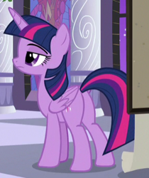 Size: 291x346 | Tagged: safe, screencap, character:twilight sparkle, character:twilight sparkle (alicorn), species:alicorn, species:pony, episode:the summer sun setback, g4, my little pony: friendship is magic, butt, cropped, plot, solo