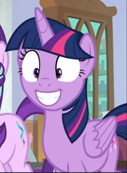 Size: 692x941 | Tagged: safe, screencap, character:twilight sparkle, character:twilight sparkle (alicorn), species:alicorn, species:pony, episode:sparkle's seven, g4, my little pony: friendship is magic, cropped, excited, offscreen character, shrunken pupils, smiling, solo