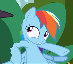 Size: 865x758 | Tagged: safe, screencap, character:rainbow dash, episode:sparkle's seven, g4, my little pony: friendship is magic, bush, cropped, hiding, solo, wings