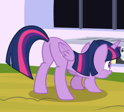 Size: 705x640 | Tagged: safe, screencap, character:rarity, character:twilight sparkle, character:twilight sparkle (alicorn), species:alicorn, species:pony, episode:sparkle's seven, g4, my little pony: friendship is magic, butt, cropped, crouching, face down ass up, offscreen character, plot, rear view