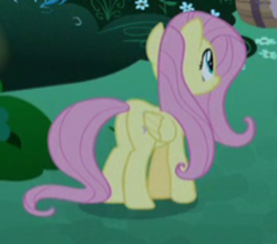 Size: 500x440 | Tagged: safe, screencap, character:fluttershy, episode:the summer sun setback, g4, my little pony: friendship is magic, butt, cropped, plot, solo