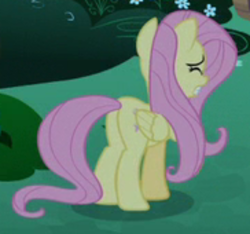 Size: 500x468 | Tagged: safe, screencap, character:fluttershy, episode:the summer sun setback, g4, my little pony: friendship is magic, butt, cropped, plot, solo