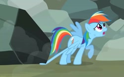 Size: 1149x715 | Tagged: safe, screencap, character:rainbow dash, episode:may the best pet win, g4, my little pony: friendship is magic, rock, sad