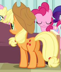 Size: 394x465 | Tagged: safe, screencap, character:applejack, character:fluttershy, character:pinkie pie, character:rarity, episode:read it and weep, g4, my little pony: friendship is magic, butt, cropped, plot