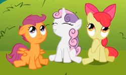 Size: 839x501 | Tagged: safe, screencap, character:apple bloom, character:scootaloo, character:sweetie belle, species:pegasus, species:pony, episode:lesson zero, g4, my little pony: friendship is magic, adorabloom, cute, cutealoo, cutie mark crusaders, diasweetes