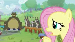 Size: 1920x1080 | Tagged: safe, screencap, character:fluttershy, character:harry, species:pony, species:rabbit, episode:she talks to angel, g4, my little pony: friendship is magic, animal, bear, female, mare, raccoon, smoky, smoky jr., softpad, stool, tree