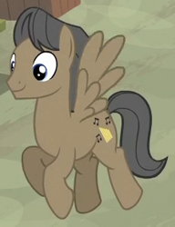 Size: 236x308 | Tagged: safe, screencap, species:pegasus, species:pony, episode:to where and back again, g4, my little pony: friendship is magic, background pony, cropped, male, solo, stallion, unnamed pony