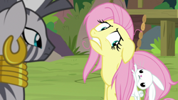 Size: 1920x1080 | Tagged: safe, screencap, character:angel bunny, character:fluttershy, character:zecora, species:pegasus, species:pony, species:rabbit, species:zebra, episode:she talks to angel, g4, my little pony: friendship is magic, animal, ear piercing, earring, female, hair pulling, jewelry, male, mare, messy mane, neck rings, piercing, pouting