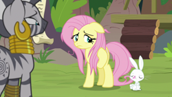 Size: 1920x1080 | Tagged: safe, screencap, character:angel bunny, character:fluttershy, character:zecora, species:pegasus, species:pony, species:rabbit, episode:she talks to angel, g4, my little pony: friendship is magic, animal, eyes closed, female, male, mare, messy mane, tongue out