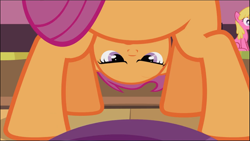 Size: 1671x942 | Tagged: safe, screencap, character:scootaloo, species:pegasus, species:pony, episode:the cutie pox, g4, my little pony: friendship is magic, cropped, solo, upside down