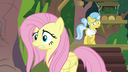 Size: 1920x1080 | Tagged: safe, screencap, character:doctor fauna, character:fluttershy, species:earth pony, species:pegasus, species:pony, episode:she talks to angel, g4, my little pony: friendship is magic, clothing, female, mare, messy mane, ponytail, raised hoof, shirt