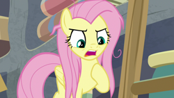 Size: 1920x1080 | Tagged: safe, screencap, character:fluttershy, species:pegasus, species:pony, episode:she talks to angel, g4, my little pony: friendship is magic, angry, female, hoof on chest, mare, messy mane, solo