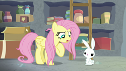 Size: 1920x1080 | Tagged: safe, screencap, character:angel bunny, character:fluttershy, species:pegasus, species:pony, species:rabbit, episode:she talks to angel, g4, my little pony: friendship is magic, animal, duo, female, ladder, male, mare, messy mane, pointing at self