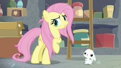 Size: 1920x1080 | Tagged: safe, screencap, character:angel bunny, character:fluttershy, species:pegasus, species:pony, species:rabbit, episode:she talks to angel, g4, my little pony: friendship is magic, animal, duo, female, ladder, male, mare, messy mane, raised hoof