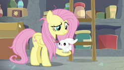 Size: 1920x1080 | Tagged: safe, screencap, character:angel bunny, character:fluttershy, species:pegasus, species:pony, species:rabbit, episode:she talks to angel, g4, my little pony: friendship is magic, animal, duo, female, ladder, male, mare, messy mane