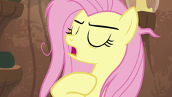 Size: 1920x1080 | Tagged: safe, screencap, character:fluttershy, species:pony, episode:she talks to angel, g4, my little pony: friendship is magic, eyes closed, female, mare, messy mane, solo, zecora's hut