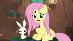 Size: 1920x1080 | Tagged: safe, screencap, character:angel bunny, character:fluttershy, species:pegasus, species:pony, species:rabbit, episode:she talks to angel, g4, my little pony: friendship is magic, animal, crossed arms, duo, female, male, mare, messy mane, raised eyebrow, raised hoof, sitting, zecora's hut