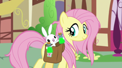 Size: 1920x1080 | Tagged: safe, screencap, character:angel bunny, character:fluttershy, species:pony, species:rabbit, episode:she talks to angel, g4, my little pony: friendship is magic, animal, bag, bottle, female, male, mare, messy mane, ponyville, potion, saddle bag