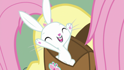 Size: 1920x1080 | Tagged: safe, screencap, character:angel bunny, character:fluttershy, species:pony, species:rabbit, episode:she talks to angel, g4, my little pony: friendship is magic, animal, bag, cheering, eyes closed, male, saddle bag, solo focus