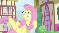 Size: 1920x1080 | Tagged: safe, screencap, character:angel bunny, character:fluttershy, species:pegasus, species:pony, episode:she talks to angel, g4, my little pony: friendship is magic, body swap, confused, female, gritted teeth, hind legs, looking down, male, mare, not fluttershy, overwhelmed, raised eyebrow, raised leg, shrunken pupils, so ridiculous it's funny