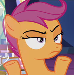 Size: 928x940 | Tagged: safe, screencap, character:scootaloo, species:pegasus, species:pony, episode:growing up is hard to do, g4, my little pony: friendship is magic, cropped, scootaloo is not amused, solo, unamused