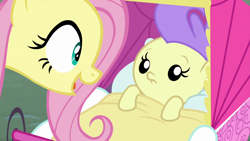 Size: 1920x1080 | Tagged: safe, screencap, character:angel bunny, character:cream puff, character:fluttershy, species:pony, episode:she talks to angel, g4, my little pony: friendship is magic, baby, baby carriage, baby pony, body swap, female, mare
