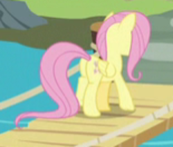 Size: 1000x852 | Tagged: safe, screencap, character:angel bunny, character:fluttershy, species:pegasus, species:pony, episode:she talks to angel, g4, my little pony: friendship is magic, blurry, body swap, butt, cropped, female, mare, plot, zoom