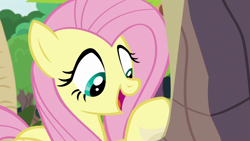 Size: 1920x1080 | Tagged: safe, screencap, character:angel bunny, character:fluttershy, species:pegasus, species:pony, episode:she talks to angel, g4, my little pony: friendship is magic, body swap, female, mare, open mouth, solo