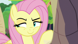 Size: 1920x1080 | Tagged: safe, screencap, character:angel bunny, character:fluttershy, species:pegasus, species:pony, episode:she talks to angel, g4, my little pony: friendship is magic, body swap, cunning, devious smile, female, looking sideways, male, mare, narrowed eyes, not fluttershy, raised eyebrow, raised hoof, smiling, solo, thinking