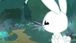 Size: 1920x1080 | Tagged: safe, screencap, character:angel bunny, character:fluttershy, species:rabbit, episode:she talks to angel, g4, my little pony: friendship is magic, animal, body swap, everfree forest, forest, male, mushroom, solo, tree