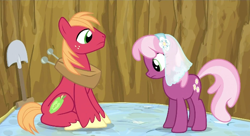 Size: 638x346 | Tagged: safe, screencap, character:big mcintosh, character:cheerilee, species:earth pony, species:pony, episode:hearts and hooves day, g4, my little pony: friendship is magic, eyes on the prize, male, stallion, wedding veil