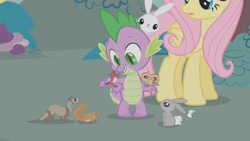 Size: 1280x720 | Tagged: safe, screencap, character:angel bunny, character:fluttershy, character:spike, species:rabbit, episode:dragonshy, g4, my little pony: friendship is magic, ferret, pet