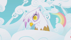 Size: 1280x720 | Tagged: safe, screencap, character:gilda, species:griffon, episode:griffon the brush-off, birds doing bird things, griffons doing bird things, solo, stare