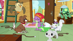 Size: 1280x720 | Tagged: safe, screencap, character:angel bunny, character:gummy, character:opalescence, character:owlowiscious, character:spike, character:tank, character:winona, episode:just for sidekicks, g4, my little pony: friendship is magic